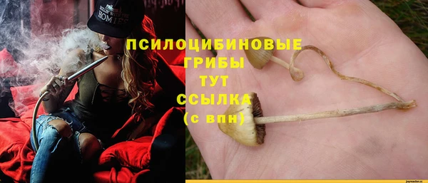 трава Арсеньев