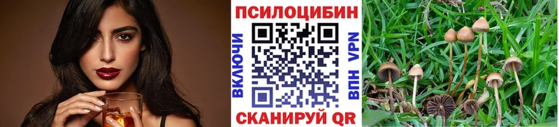 мега   Фокино  Галлюциногенные грибы Psilocybine cubensis  купить  цена 